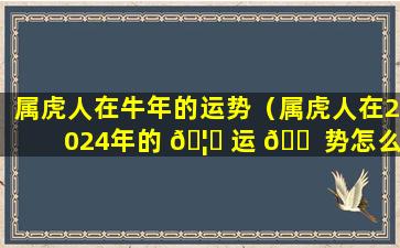 属虎人在牛年的运势（属虎人在2024年的 🦊 运 🐠 势怎么样）